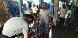 Peliyagoda fish market closed for three days