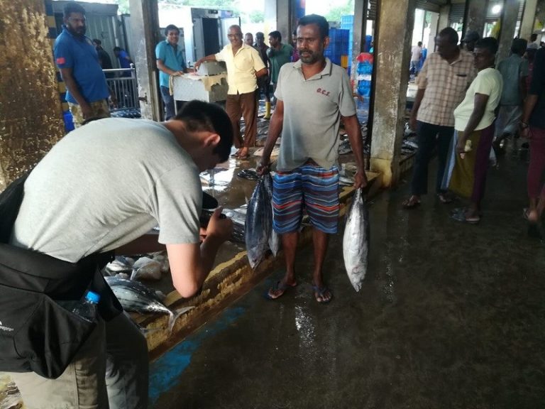 Peliyagoda fish market closed for three days