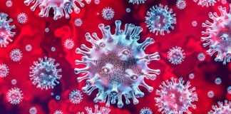 Covid-19 cases spike as 257 more persons test positive