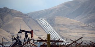 OPEC ‘close’ to deal on output cuts to counter price collapse