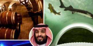 Inside Bin Salman’s stunning £230m chateau – ‘the world’s most expensive house’ – with underwater chilling room