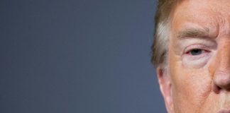 Global virus deaths pass 150,000 as Trump endorses lockdown protests