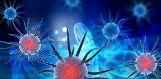 Total number of COVID-19 rise to 2,066