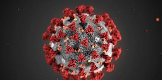 Global COVID-19 cases top 20 million