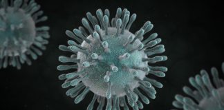 Global coronavirus death toll nears 500,000