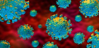 One fresh COVID-19 case takes total count to 1,559