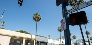 US employment plunges in March amid worsening coronavirus damage