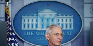 Sports can come back but without fans: Fauci