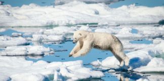 Climate fears as 2020 predicted to be ‘hottest year since records began’ – after year of raging wildfires around the world