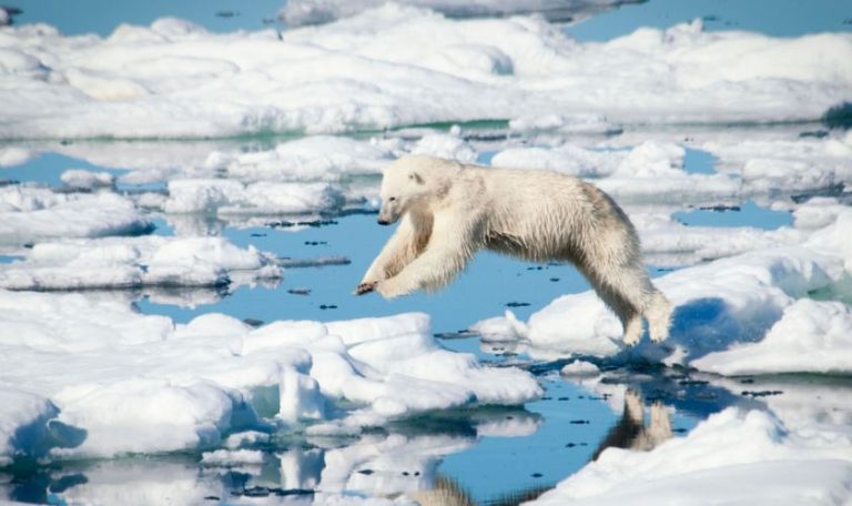 Climate fears as 2020 predicted to be ‘hottest year since records began’ – after year of raging wildfires around the world