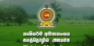 Government to Restrict Importation of some Agricultural Crops