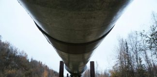 Oil-hungry Asian nations pounce on low prices to build stockpiles