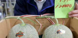 Melon-aires not required as Japan premium fruit prices plunge