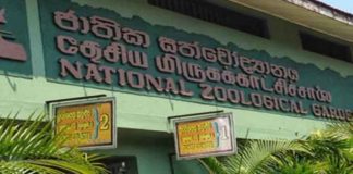 National Parks & Zoological Gardens now officially re-open for visitors