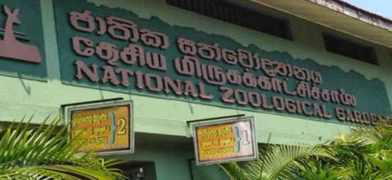 National Parks & Zoological Gardens now officially re-open for visitors