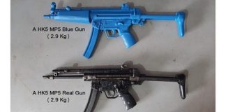 Defence Ministry develops ‘Blue Gun’ production methodology