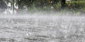 Rain in several provinces today