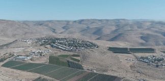 Israeli foreign minister says annexation move unlikely Wednesday