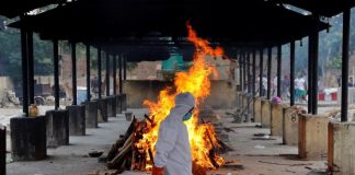 Global coronavirus cases rise to more than 11 million