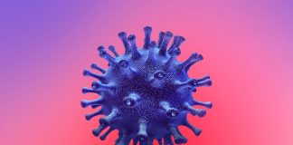 More COVID-19 recoveries hike tally to 2,064