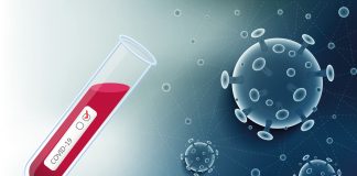 Global COVID-19 cases to 16 million