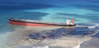 Mauritius arrests Indian captain and his Sri Lankan deputy for oil spill
