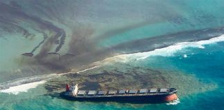 Japan sends second team to Mauritius after damaging oil spill