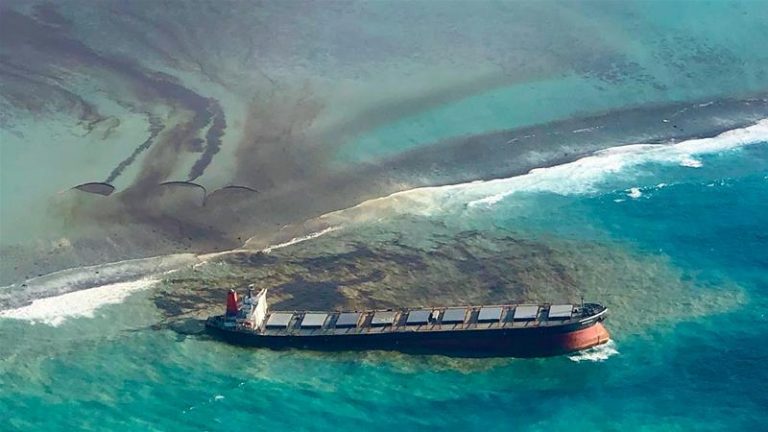 Japan sends second team to Mauritius after damaging oil spill