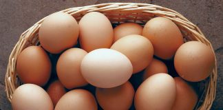 Egg prices drop by Rs 2