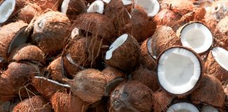 Shortage of 250 million coconuts this year: Coconut Development Authority