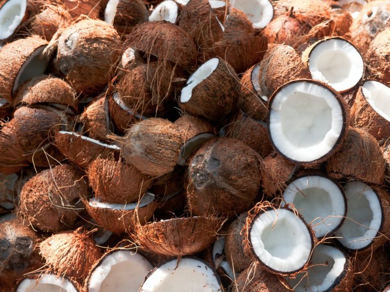 Shortage of 250 million coconuts this year: Coconut Development Authority