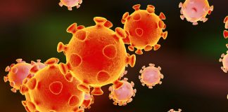 Global COVID-19 infections top 30 million; deaths over 945,000