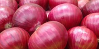 Govt. to buy big onions from local farmers