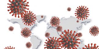 Global coronavirus cases pass 50 million
