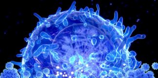 Covid-19: Daily cases hit 704 as 160 more test positive