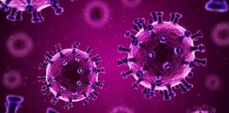 5 leaving Western Province test Covid-19 positive