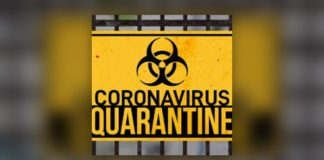 Drivers who took Ukrainian tourists on safari lament