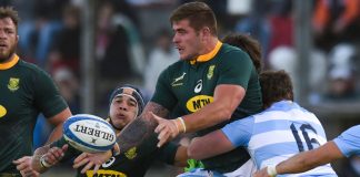 South Africa given deadline to decide on Rugby Championship