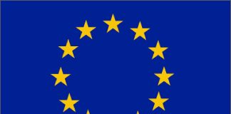 Import ban are having negative impact on Lankan, European businesses – EU