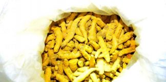 Navy seizes over 1372kg of dried turmeric attempted to be smuggled by sea