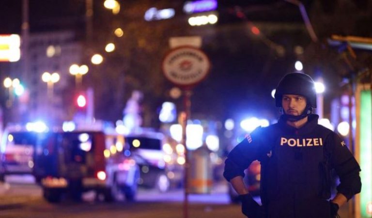 At least three killed in Vienna attack involving multiple assailants, locations