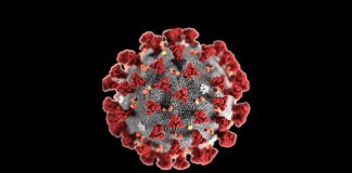 Three more succumb to COVID-19