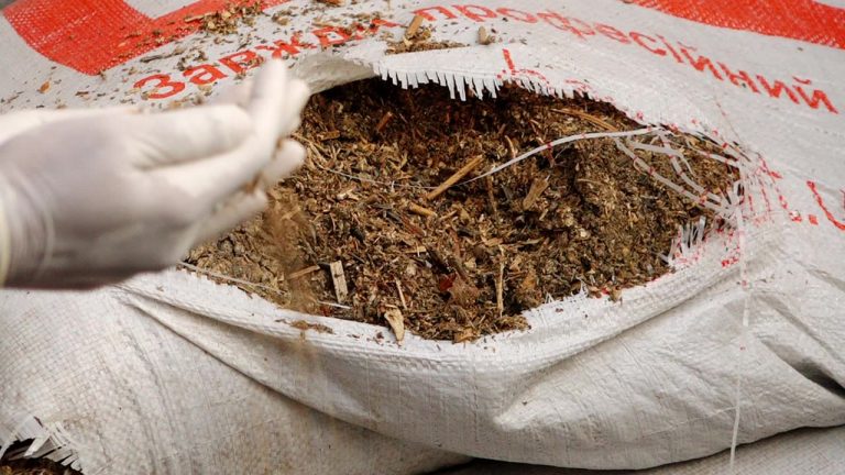 More waste containers sent from Ukraine, seized by Sri Lankan authorities