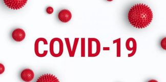 Covid-19 death toll climbs to 244