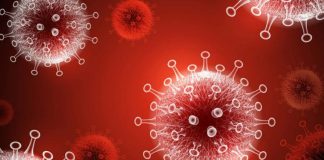 Two more COVID-19 deaths reported