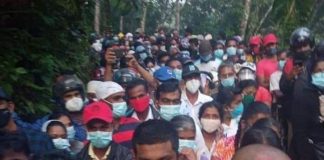 Crowds defy COVID-19 regulations to obtain ‘cure’ (Photos)