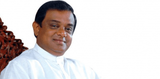 Strict laws soon against wildlife poaching