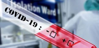 408 COVID-19 positive cases reported