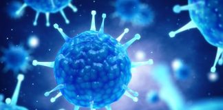 Six more succumb to COVID-19