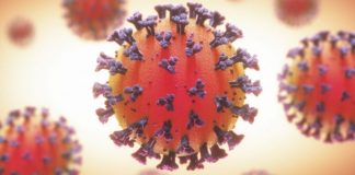 30 STF personnel at Presidential Secretariat contracts coronavirus